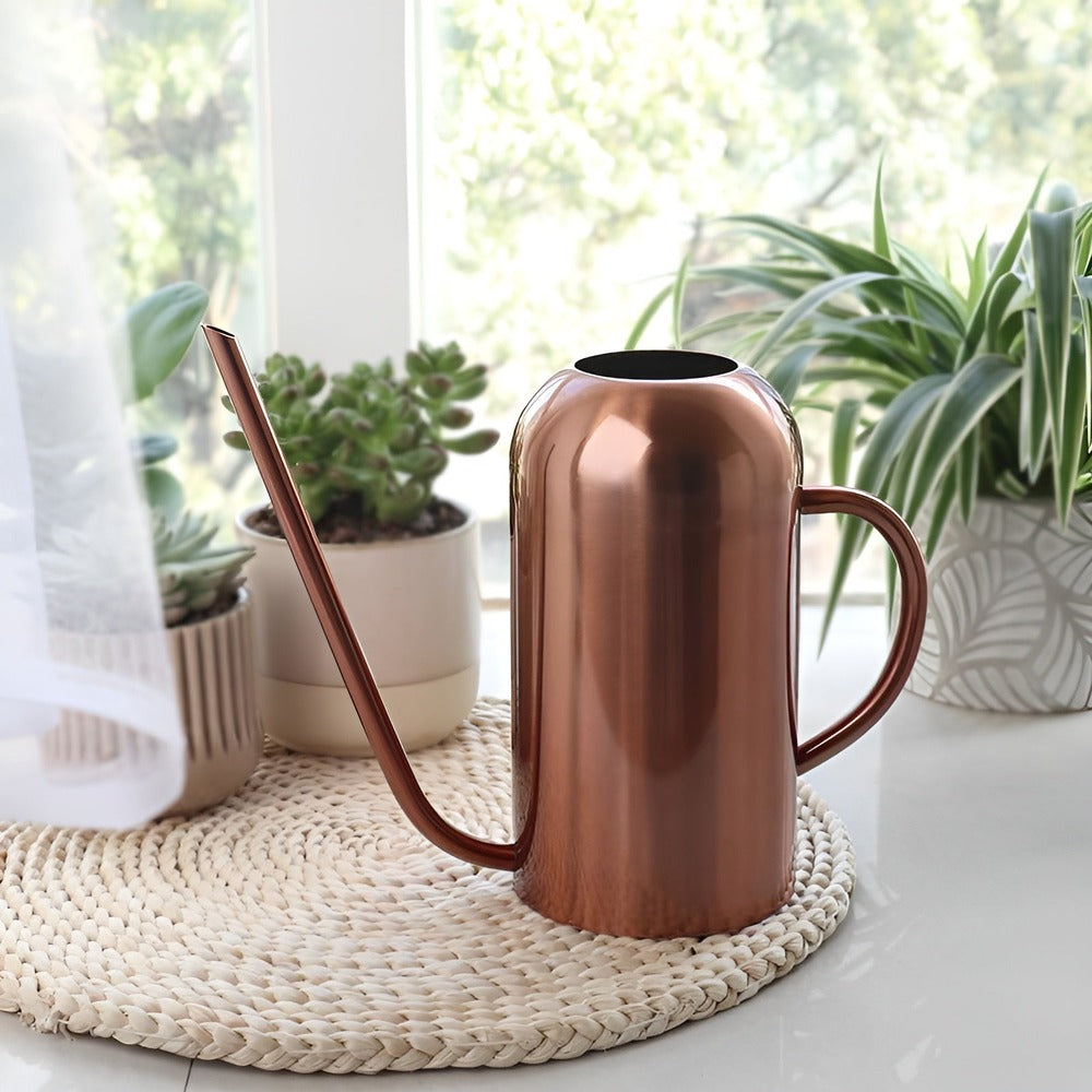 Fluora Vandekande i Rustfrit Stål med Lang Tud 1.5 L