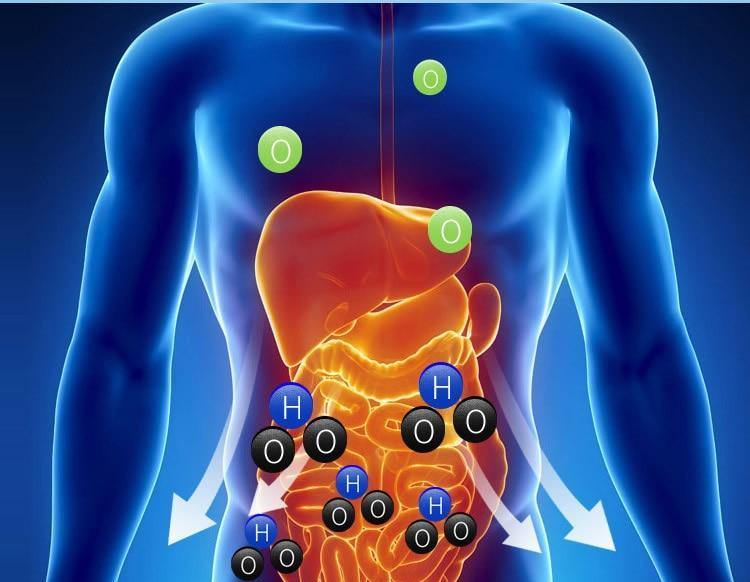 Bærbar Brintvandflaske med Genopladelig Ionisator