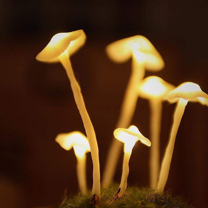 DIY Svampelampe i Glas med LED-Lys og Træbund