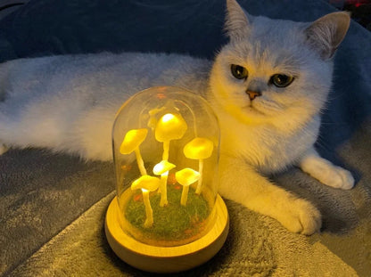 DIY Svampelampe i Glas med LED-Lys og Træbund