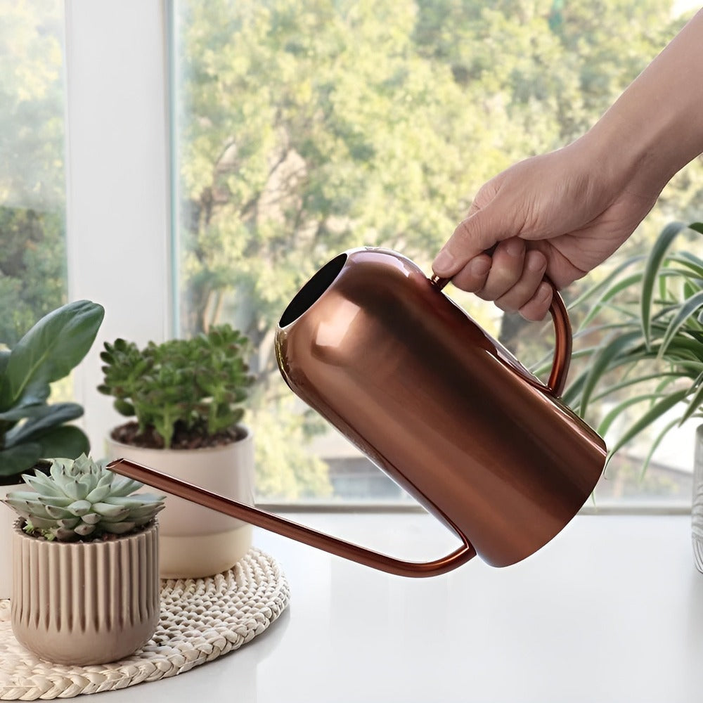 Fluora Vandekande i Rustfrit Stål med Lang Tud 1.5 L