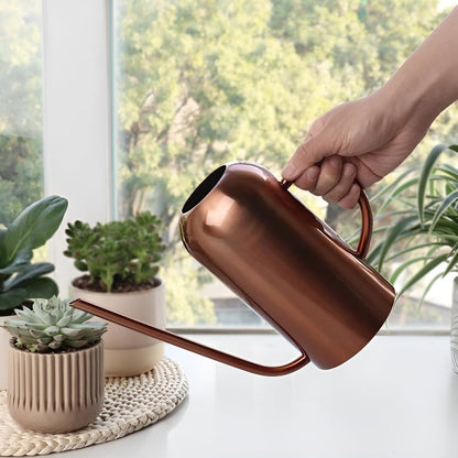Fluora Vandekande i Rustfrit Stål med Lang Tud 1.5 L