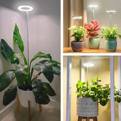 GrowGlow Justerbar LED Plantelampe med Fuldspektrum Vækstlys