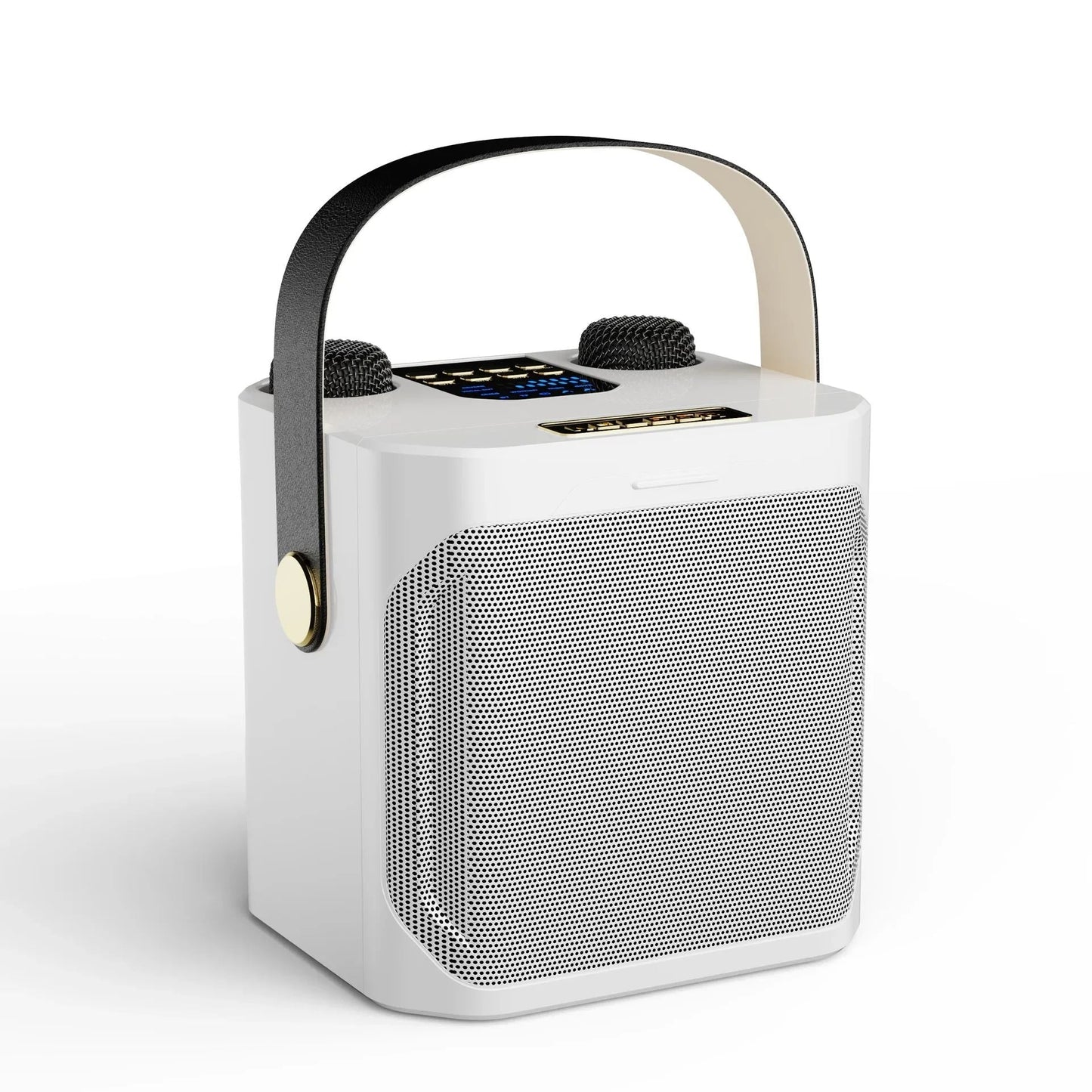 Karaoke Bluetooth Højttaler med 360° Lyd og To Mikrofoner