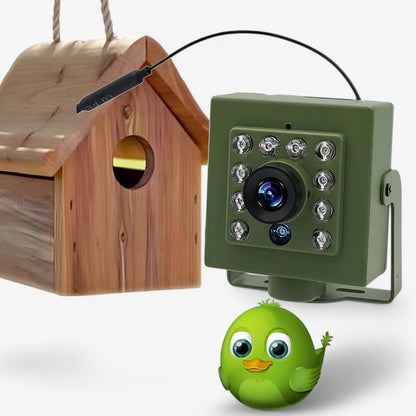NestCam HD Wi-Fi fuglekassekamera med nattesyn og vejrbestandigt design