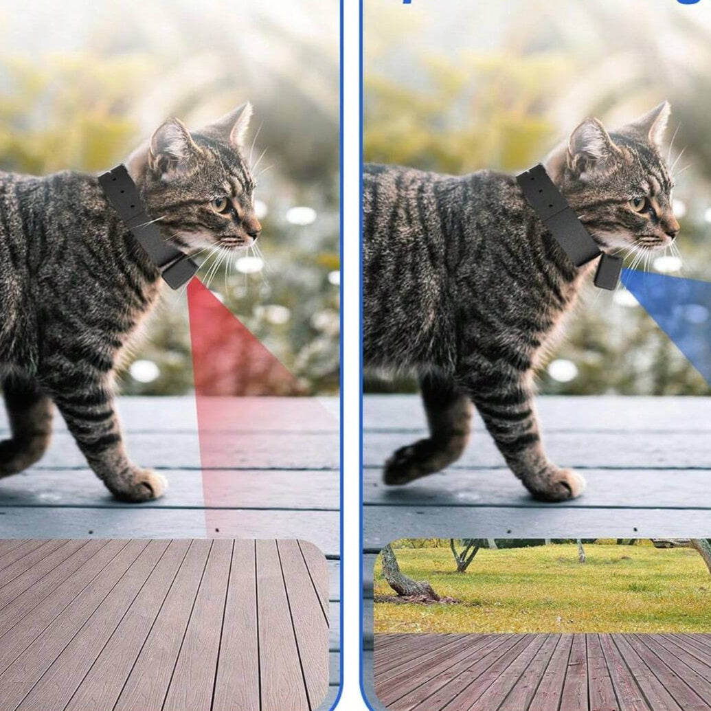 Bærbart Kæledyrskamera 1080P HD med 160° Vidvinkel til Halsbånd