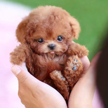 SnugglePup Realistisk Plys Hund – Blød Krammeven