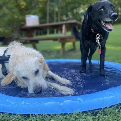 SplashyPaws Vandsprinkler Måtte og Soppebassin til Hunde