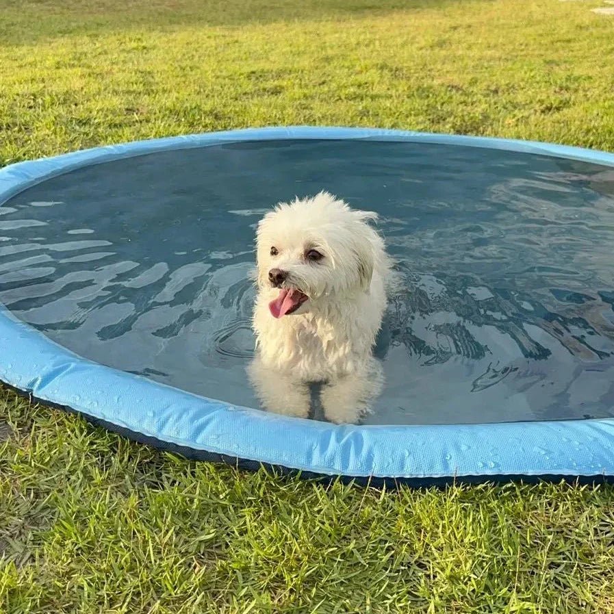 SplashyPaws Vandsprinkler Måtte og Soppebassin til Hunde