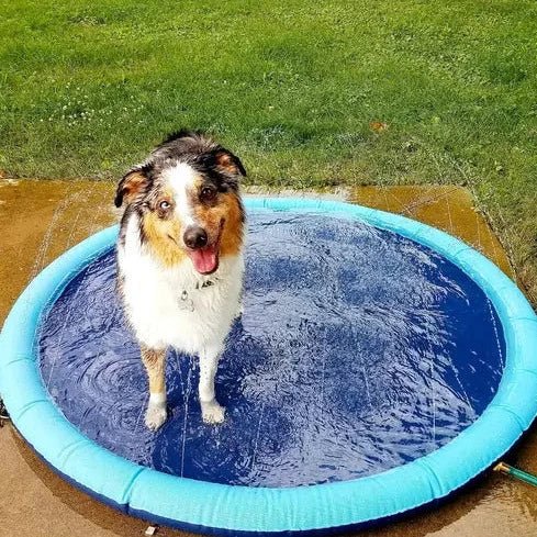 SplashyPaws Vandsprinkler Måtte og Soppebassin til Hunde